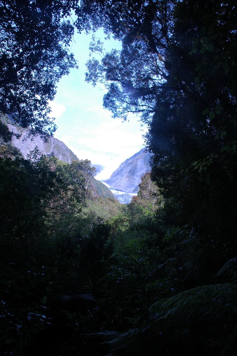 117   24 01   Greymouth   Fox Glacier